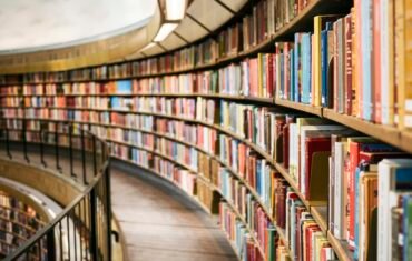 Class 10 Social Science student studying books and notes