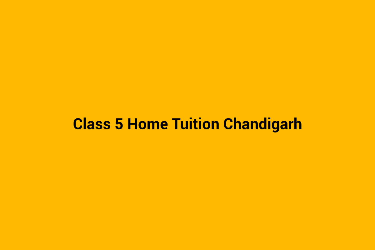 Class 5 home tuition in Chandigarh - personalised home tutoring