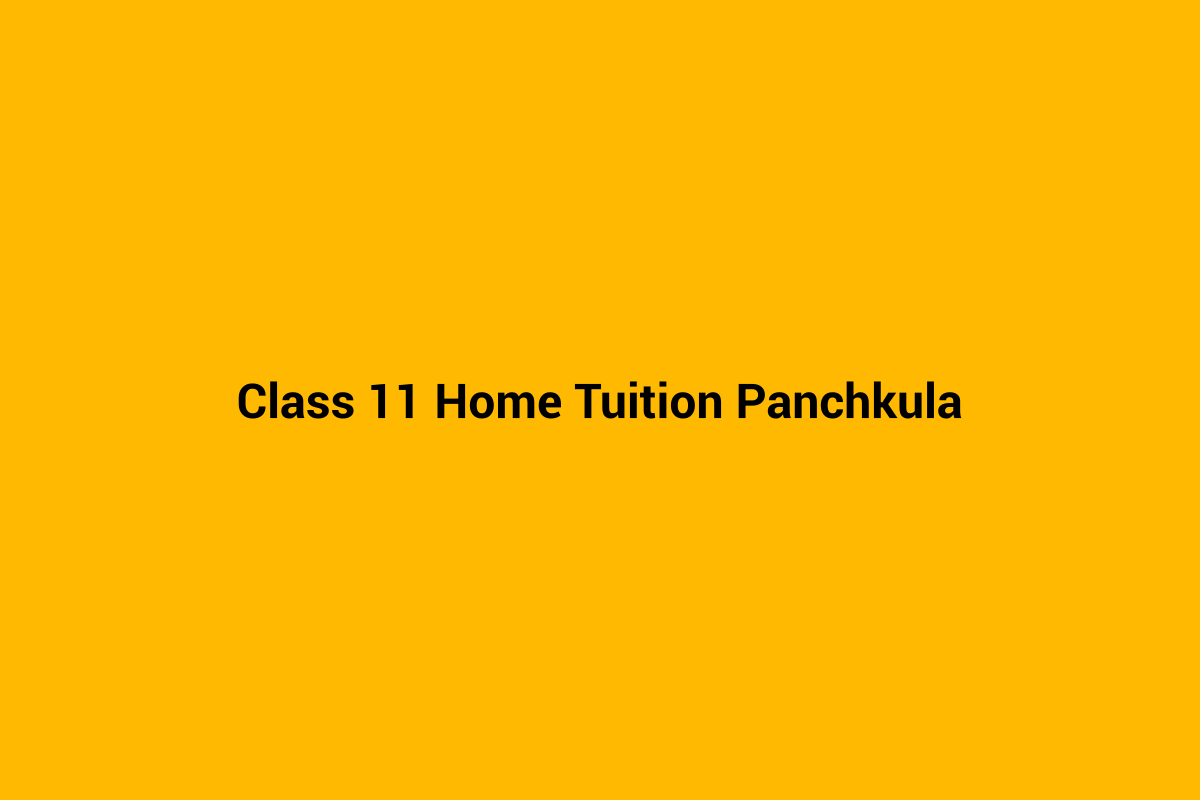 Class 11 home tuition in Panchkula - personalised home tutoring