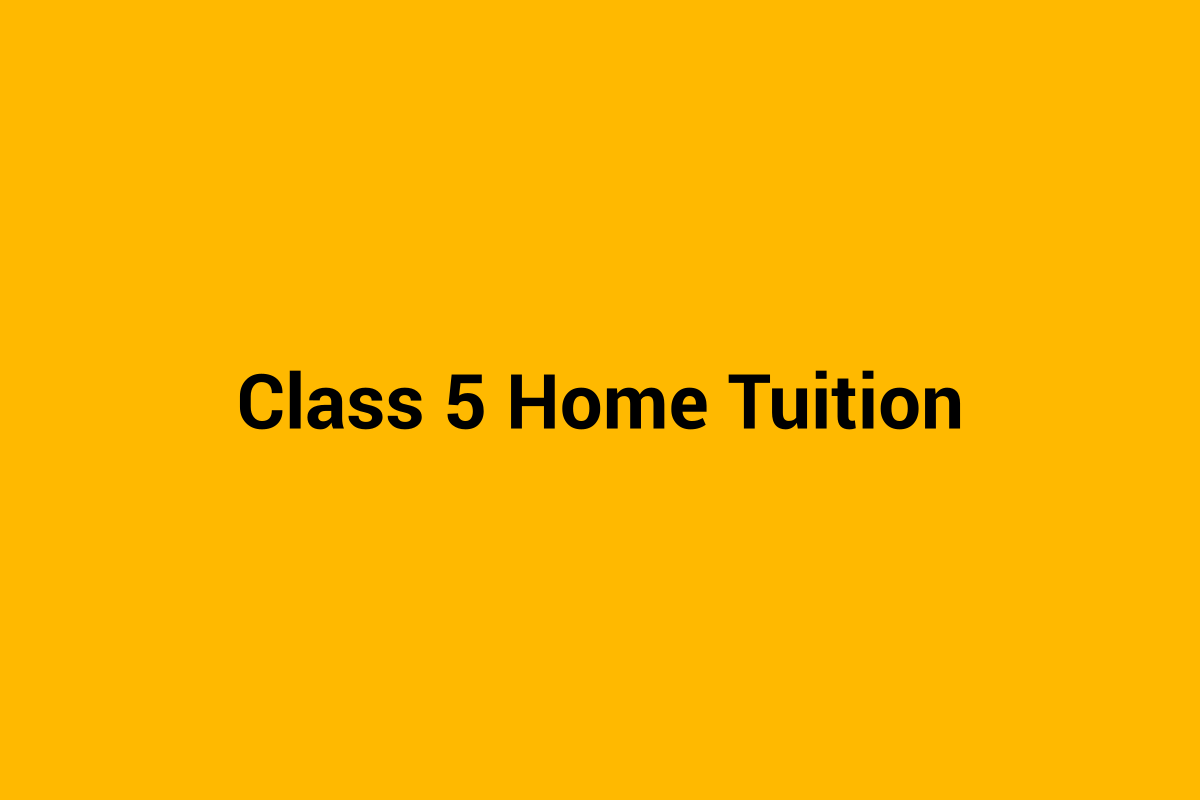 Class 5 home tuition in Chandigarh - personalised tutoring