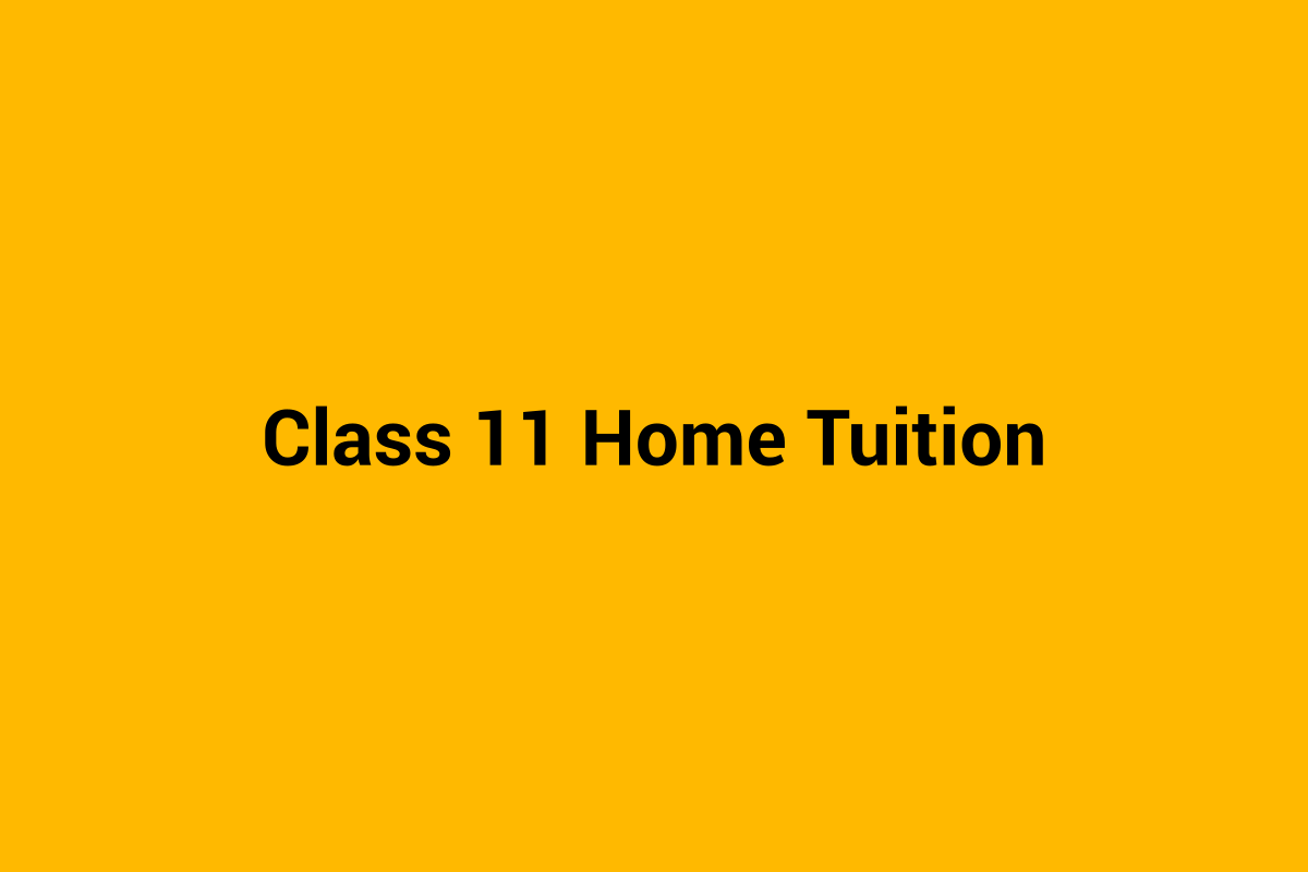 Class 11 home tuition in Chandigarh - personalised tutoring