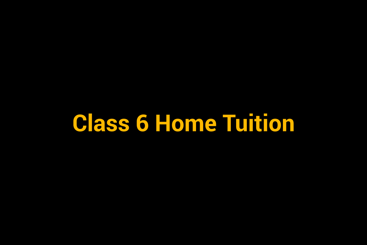 Class 6 home tuition personalised tutoring