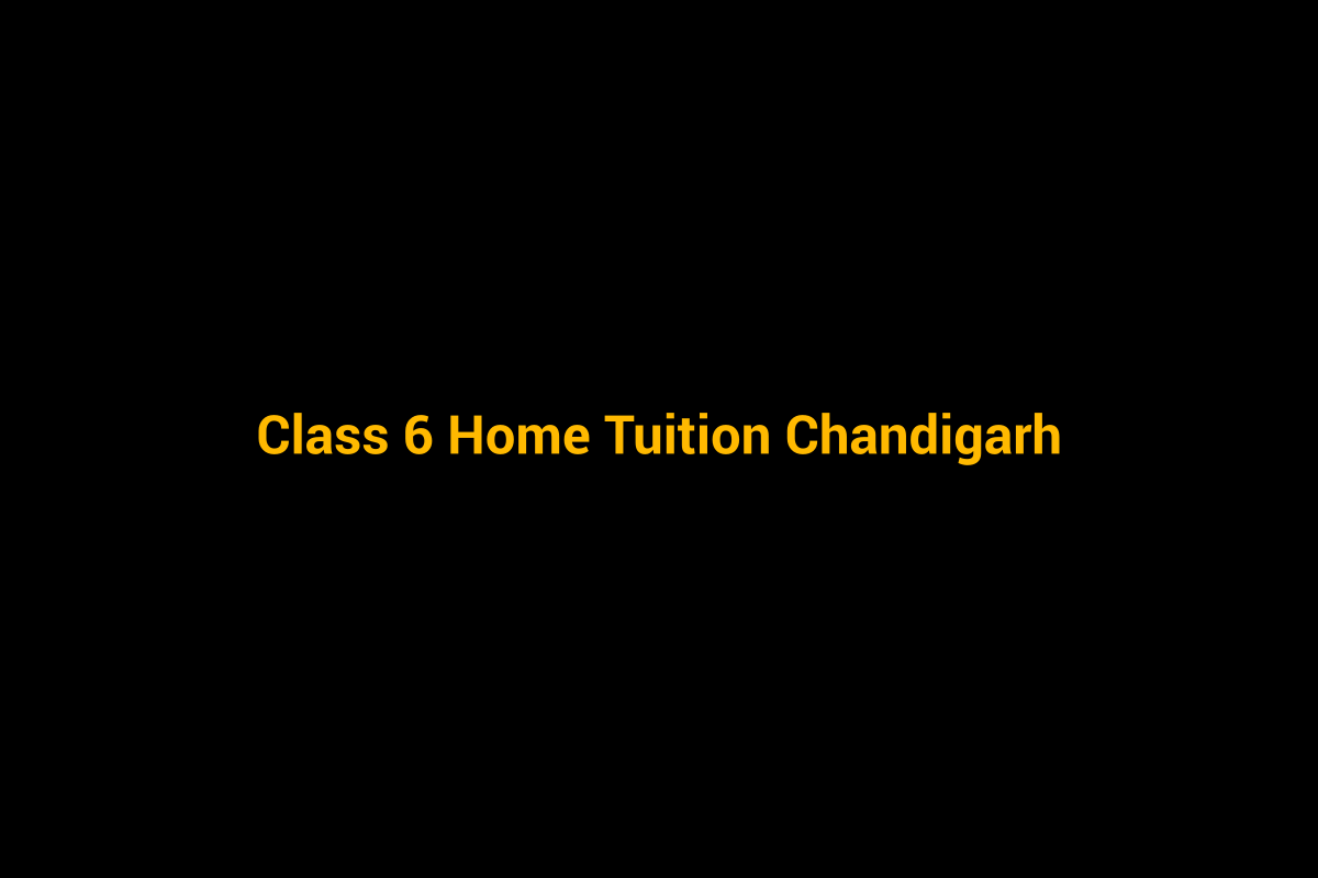 Class 6 home tuition in Chandigarh - personalised home tutoring