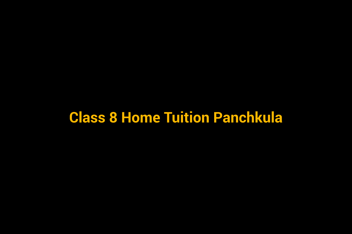 Class 8 home tuition in Panchkula - personalised home tutoring