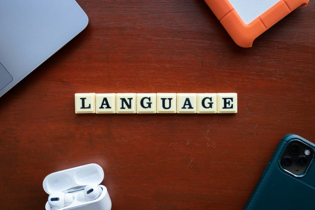 French language learning vocabulary and grammar