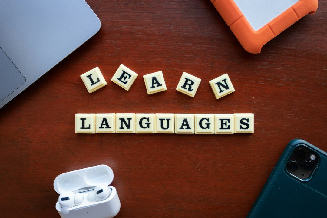 French vocabulary practice for students