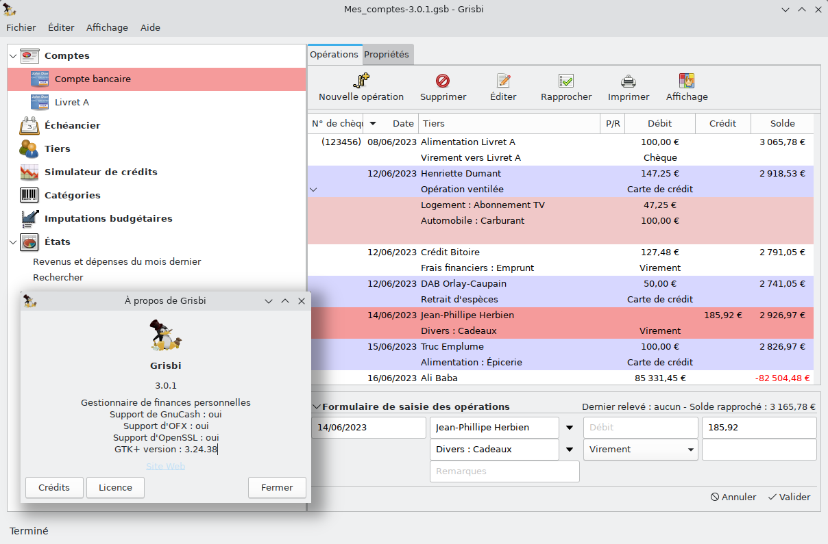 Accounting software interface