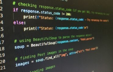 Programming monitor for online Computer Science tuition