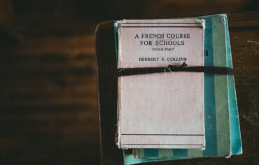 French Class 12 study and online tuition visual 1