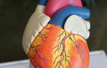 neet biology study